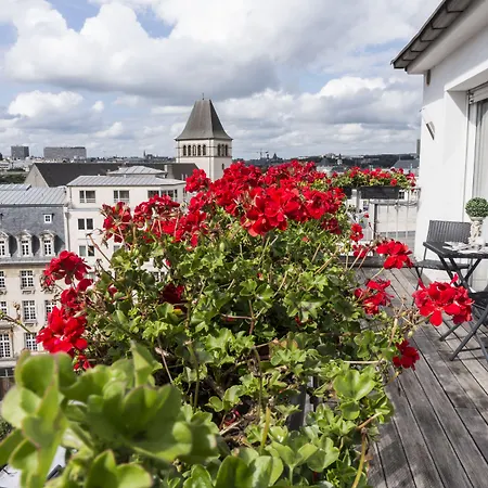 The Queen Luxury - Fiorita * Luxemburg