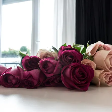 The Queen Luxury - Fiorita アパート